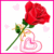 A Rose To Say LOVE